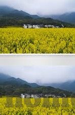 91久久精品国产亚洲a∨麻豆-不为您所求