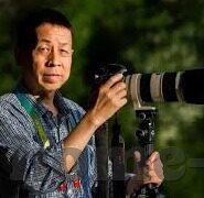 av日韩中文在线-探索多元文化视角下的影视内容，日韩与中文在线影视的交融