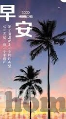 高清伦理在线网址-高清伦理的数字探索，在线平台的选择与责任