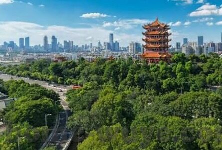 国产精品久久久av麻豆-国产影视艺术的深度观察，品质与创新的双赢之路