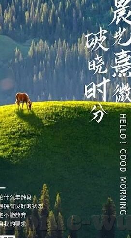 久久精品国产亚洲av麻豆助威-日渐流行的文化现象，关注内心与友谊——从久久精品国产亚洲av麻豆助威谈起