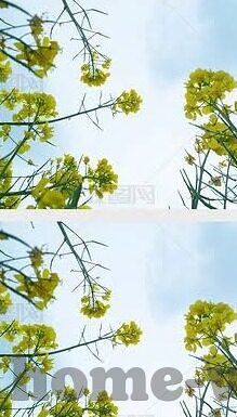 麻豆文化传媒免费网站入口-风雨下的网络之地，一条通往麻豆文化传媒的探寻之旅