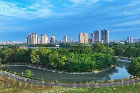 糖心视频官网-揭秘糖心视频，多方位探访其独特魅力与影响