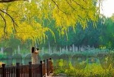 亚洲一区二区在线观看-探索亚洲影视文化的多元视角，在线平台与内容消费的深度体验